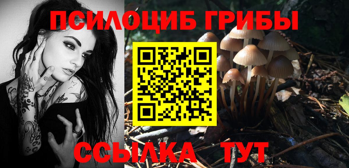 Галлюциногенные грибы MAGIC MUSHROOMS Сухой Лог